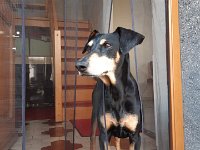 IMG-20190826-WA0005