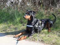 Brisco09