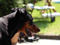 IMG 7190
