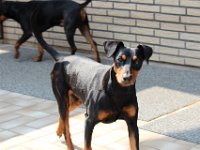 IMG 7269
