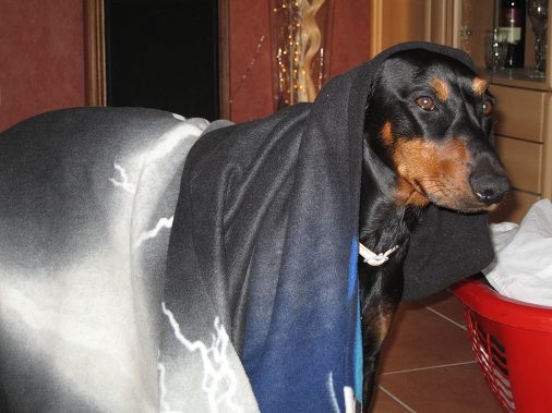 Tach ;-)