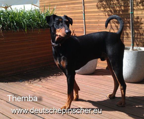 Themba