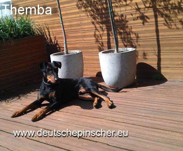 Themba